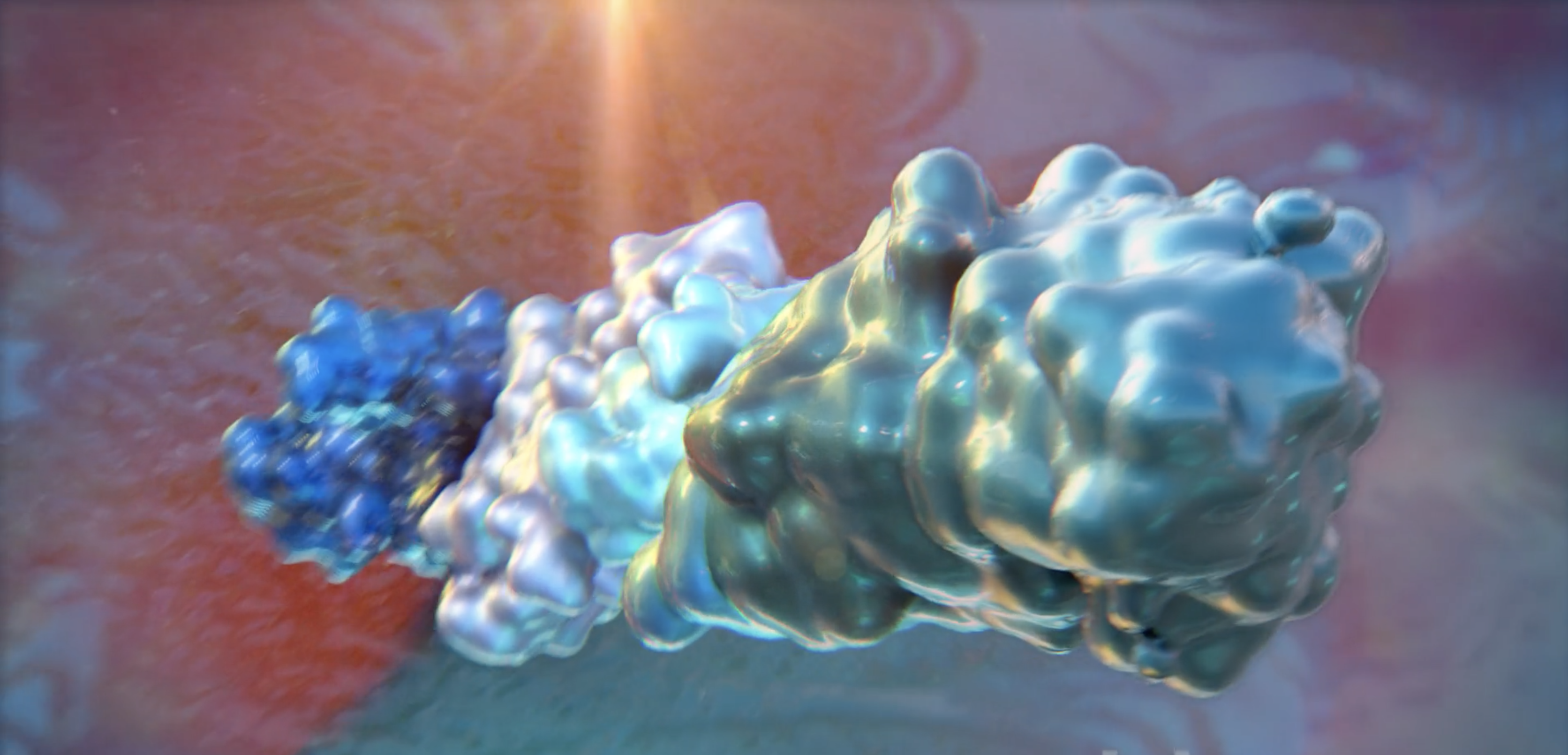 CEACAM5 Biological Pathways Reviews | Oncology