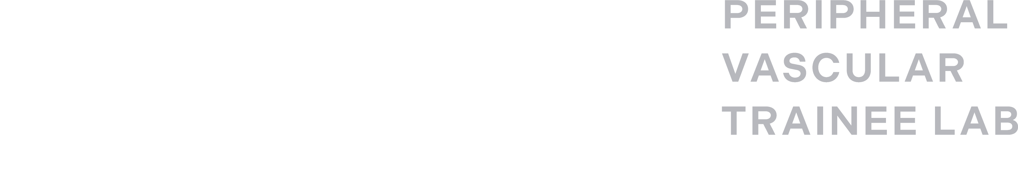 Peripheral Vascular Trainee Lab logo