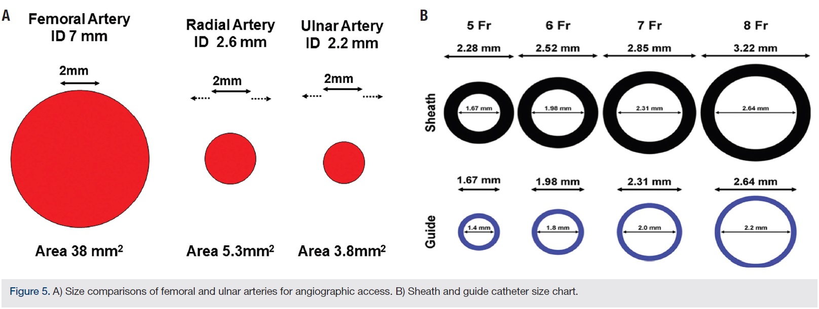 Kern Figure 5