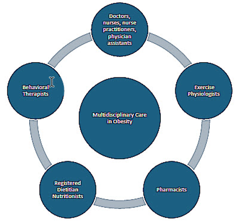 Fig. 1. Multidisciplinary approach to obesity management