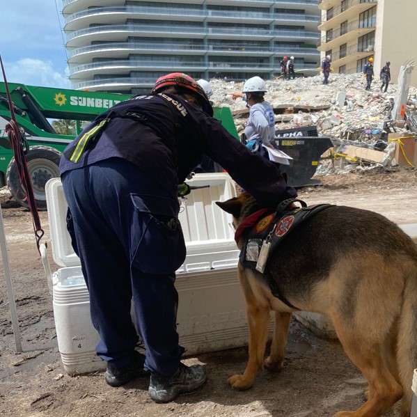 Zaxson helps at the Surfside condominium collapse. 