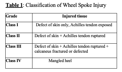 Table 1: Classification of Wheel Spoke Injury