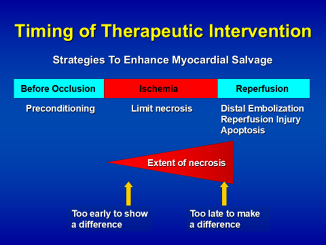 Fig. 1 Outline of Strategies to Reduce Infarct Size and Enhance Myocardial Salvage. Figure by the author.