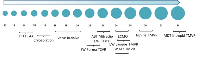 Fig. 2. Representative spectrum of sizes in the French (F) catheter scale for venous-based structural heart devices and techniques