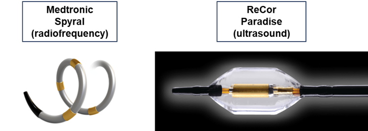 Fig. 1. FDA-approved devices for renal denervation (RDN)