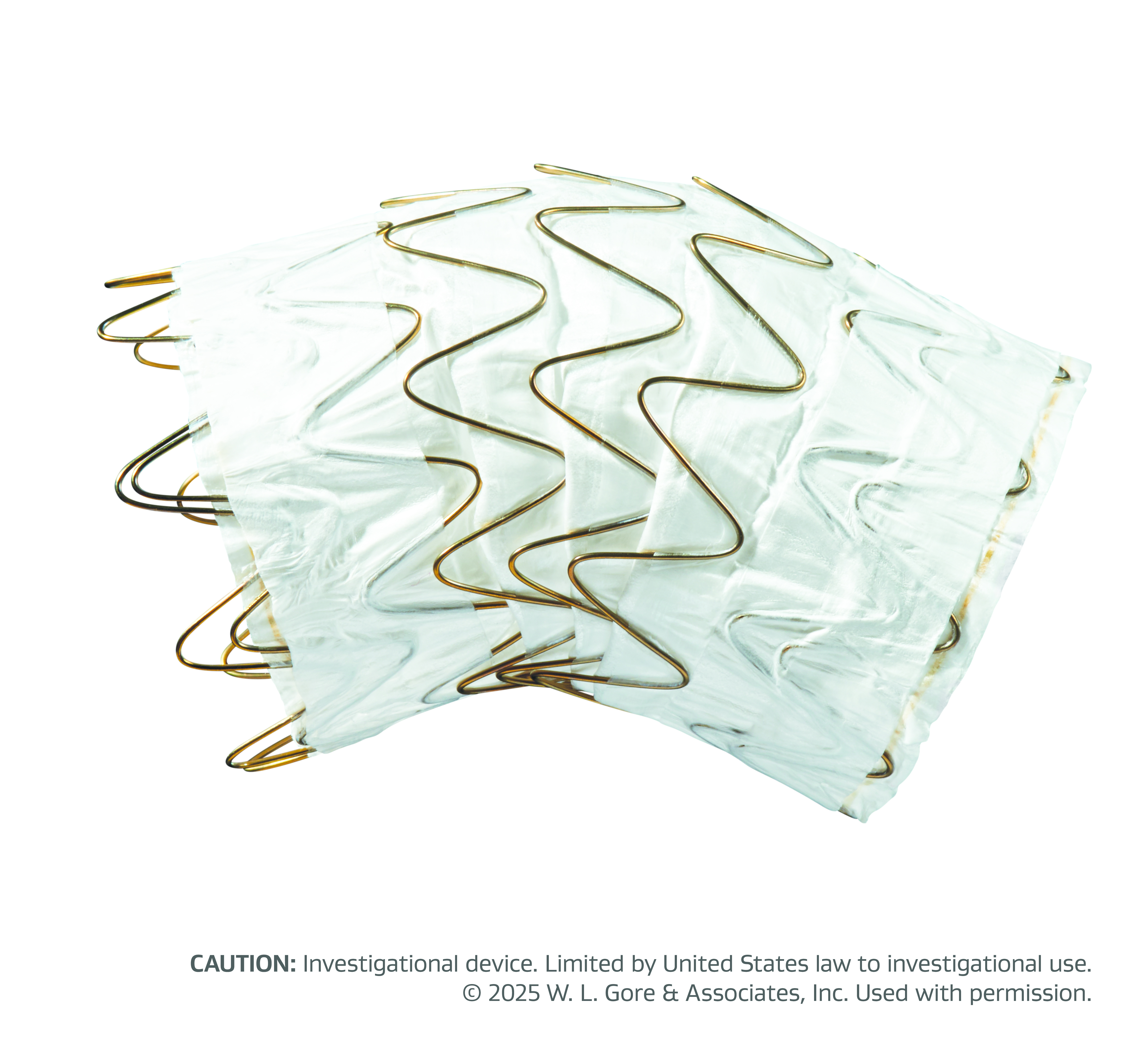 Ascending stent graft