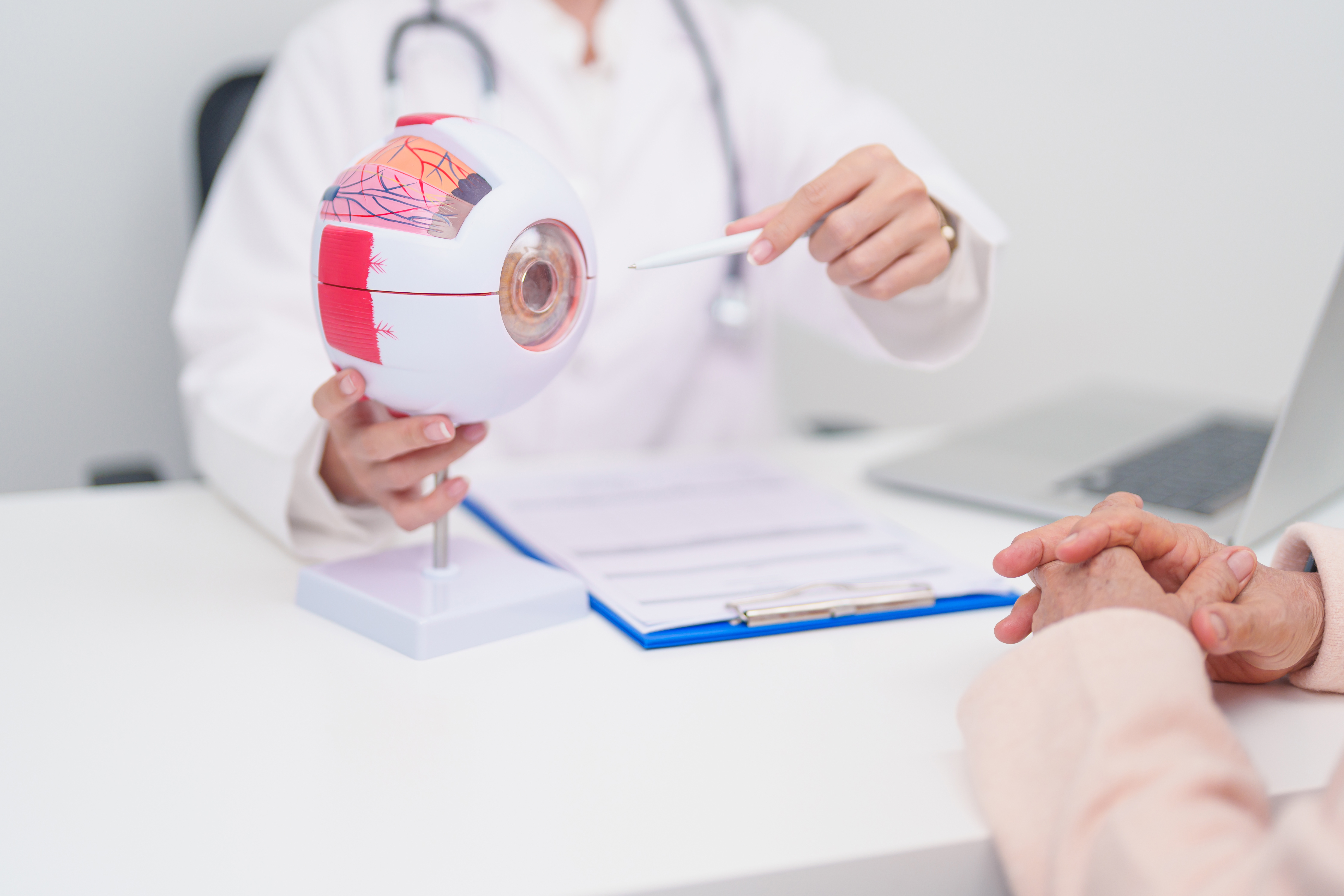 eye doctor showing parts of the eye