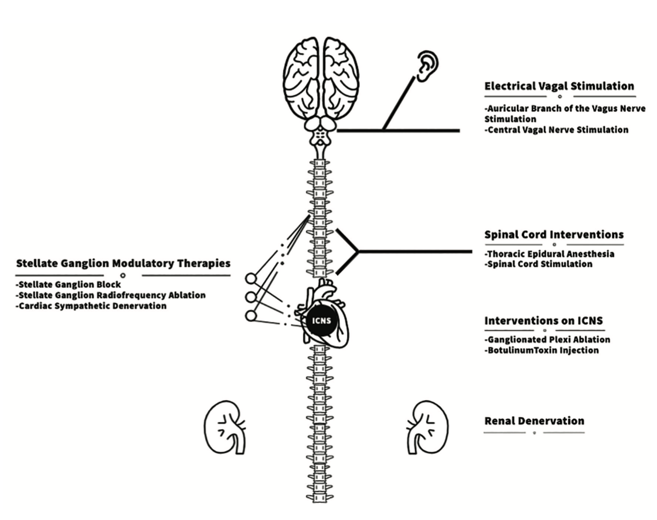 Ajijola Neuromodulation Figure 2