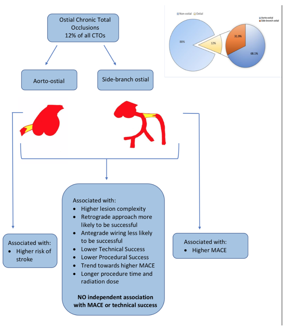 Allana PROGRESS-CTO Figure 4