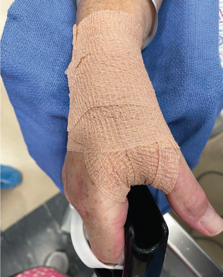 Ananth N. Kumar-Fig2-Dec 2025.png 