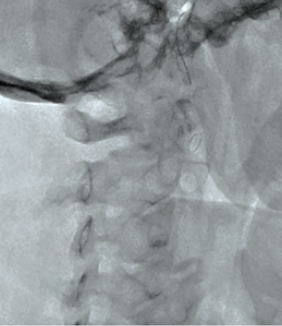 Anjum-Fig 5-CLD-Aug 2025.png 