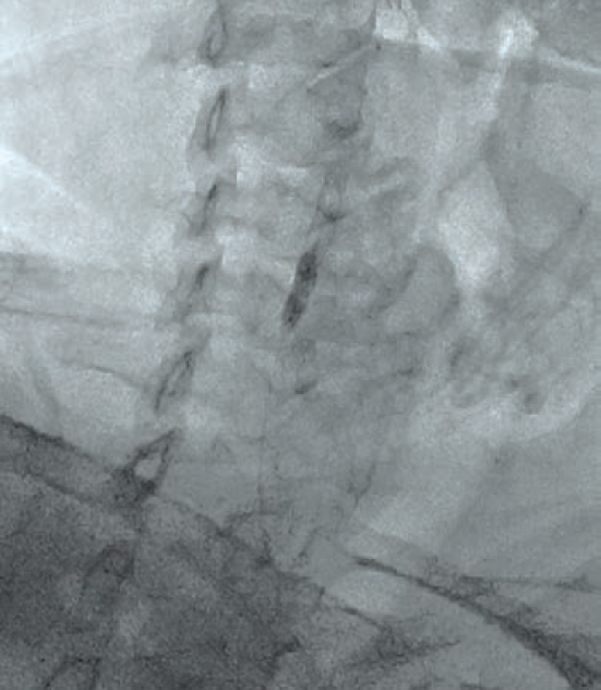 Anjum-Fig 6-CLD-Aug 2025.png 