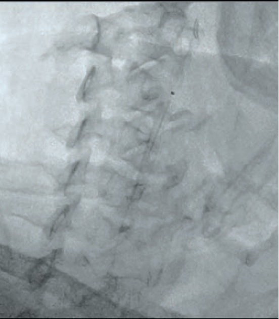 Anjum-Fig 7-CLD-Aug 2025.png 