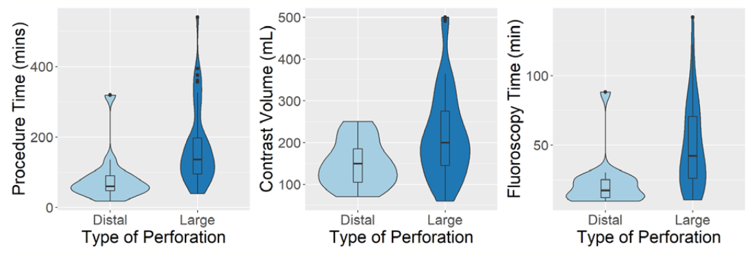 Avula Coronary Artery Perforation Figure 2