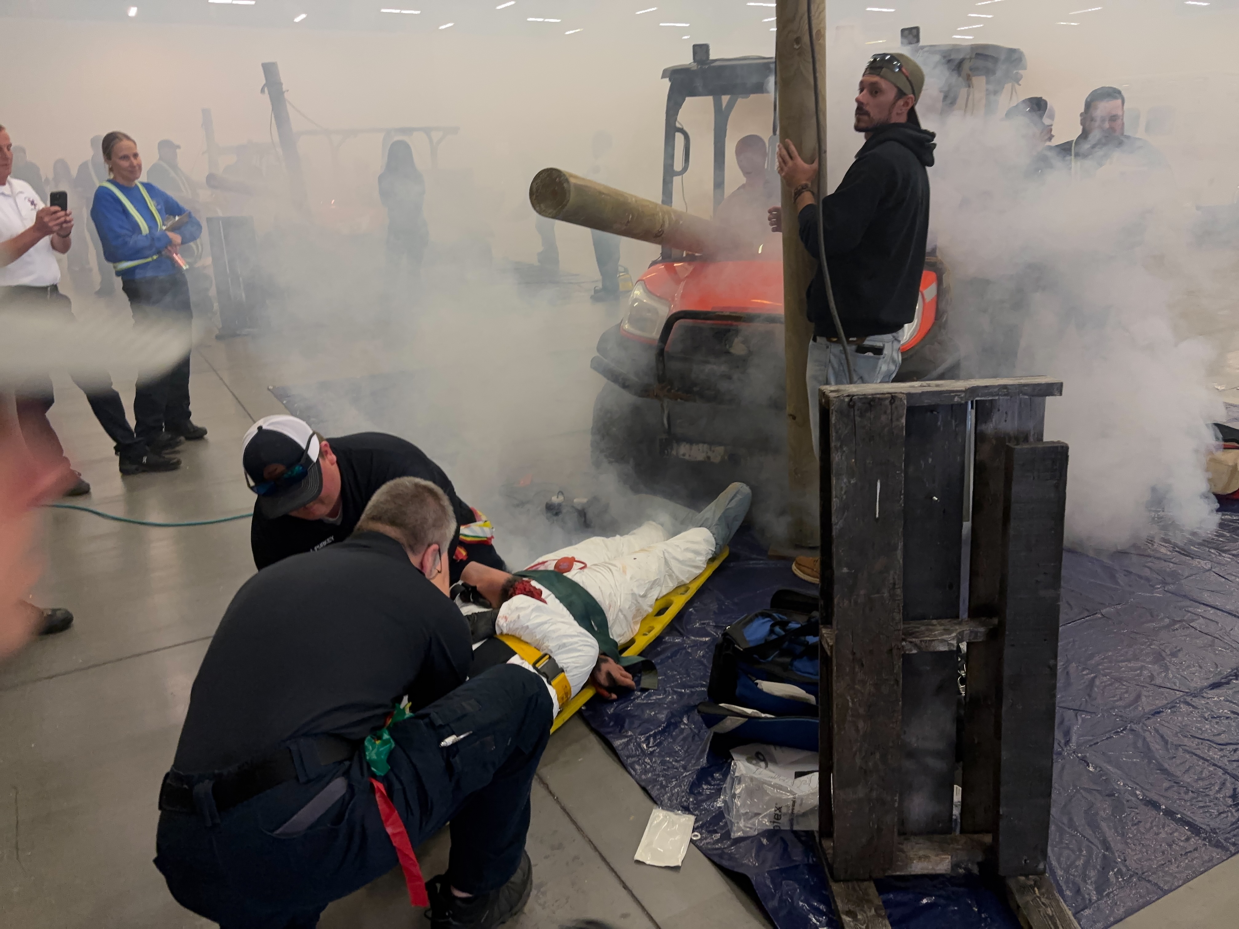 treatment and triage