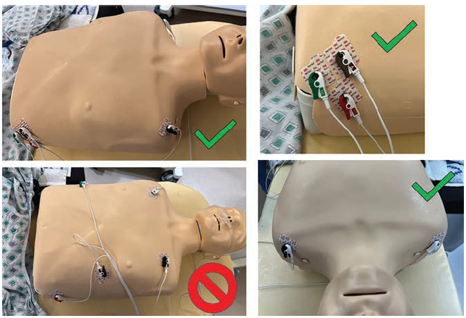 Baldwin - Fig 2 - October 2024