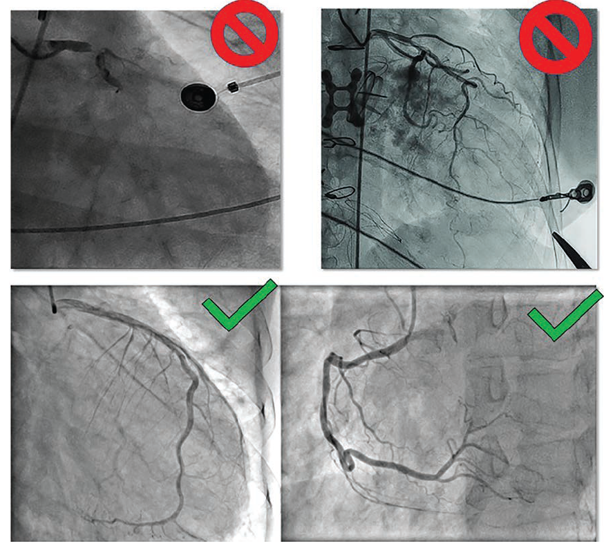Baldwin - Fig 4 - October 2024