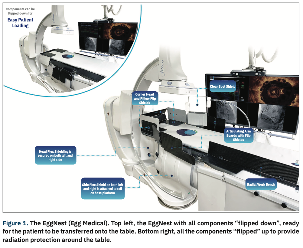 BeraKrishna EggNest Figure 1