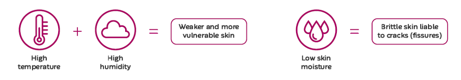 Blog 1, figure 1