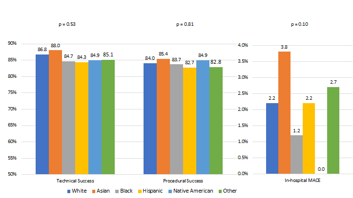 Figure 4. Technical success, procedural success, and in-hospital MACE