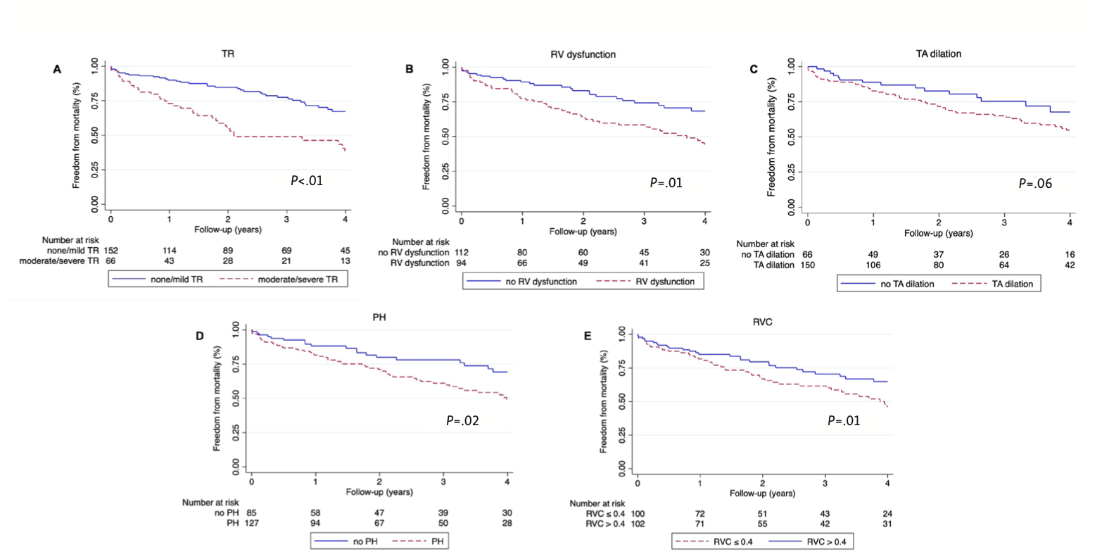 Brunner Mitral Regurgitation Figure 3