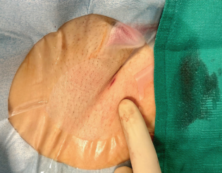 Bumgarner-Fig9-April 2025.png 