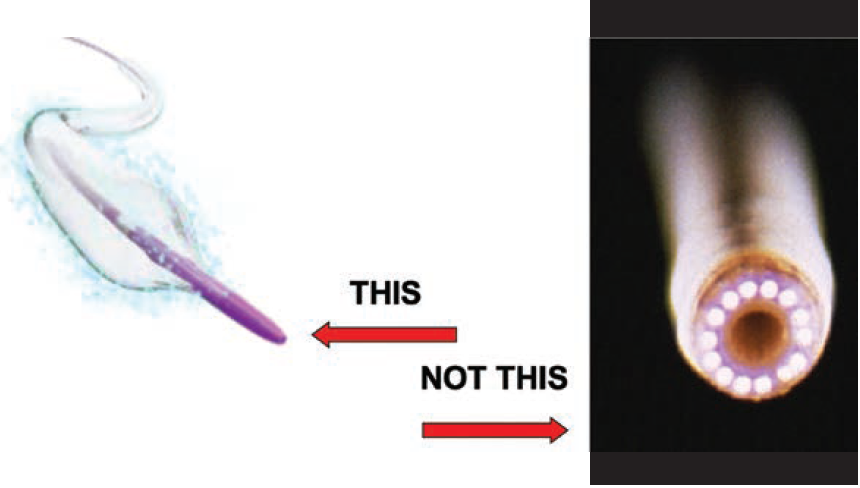 CLD-Feb 2025-Kern-Fig4