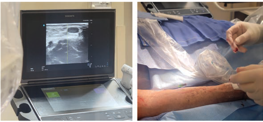 CLD-Feb 2025-Kern-Fig5