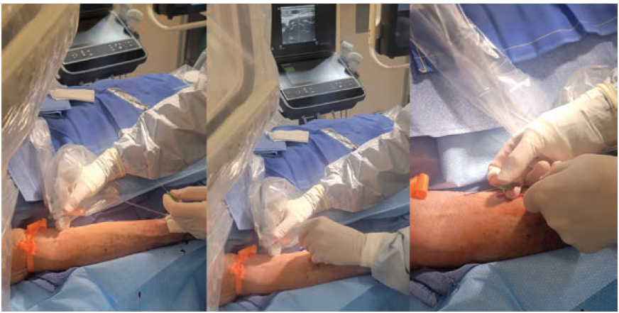 CLD-Feb 2025-Kern-Fig6