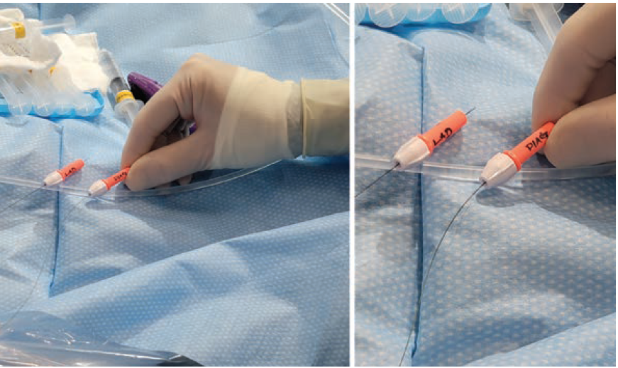 CLD-Feb 2025-Kern-Fig8