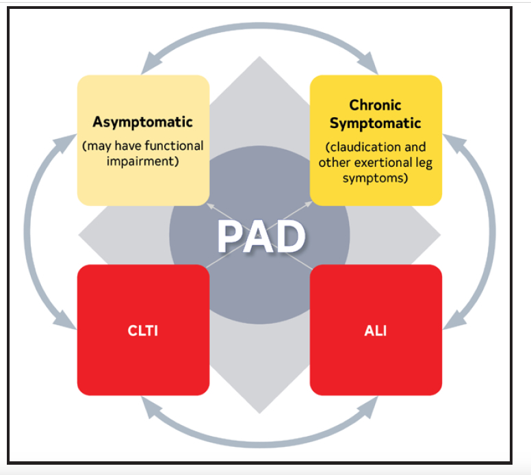 Gornik Figure 1 CLD Aug 2024