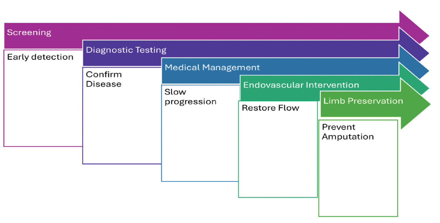 Figure 1. Typical PAD Patient Journey