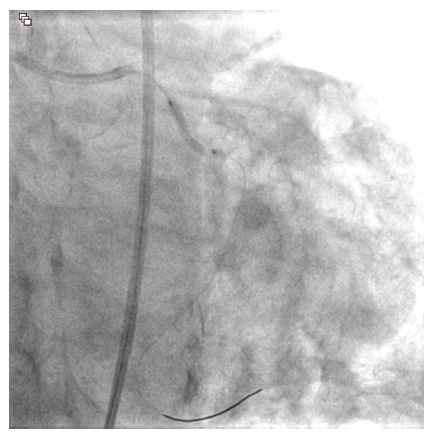 CLD Vilchez Figure 2