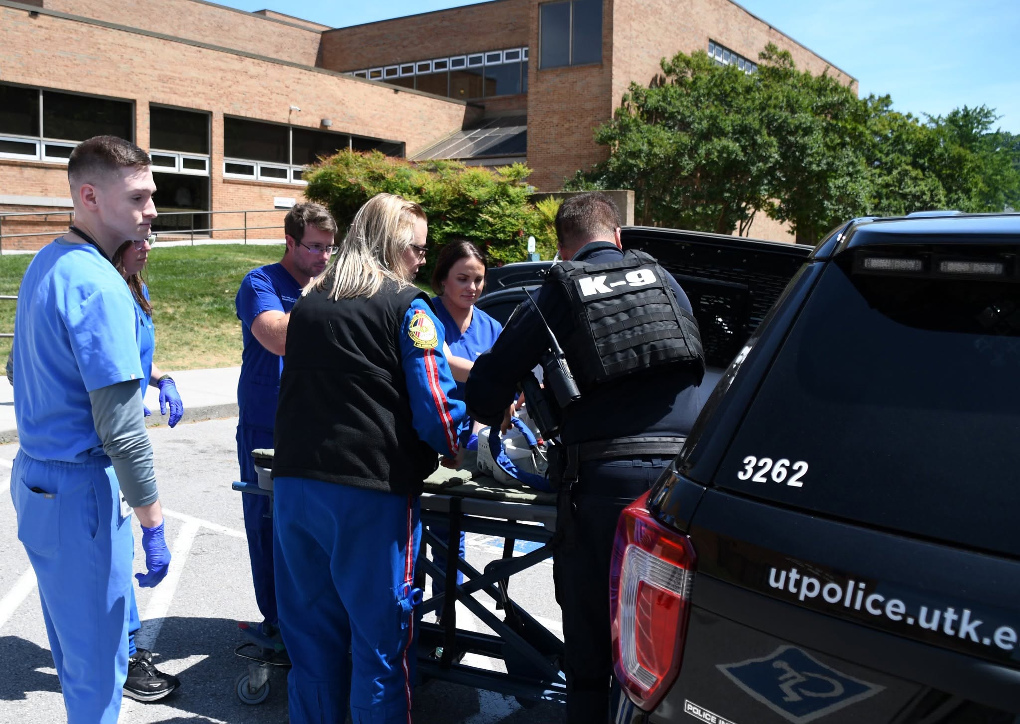 Crew working with UT Campus Police to load K9 Luca into a patrol car for the drive across the river to UTCVM.
