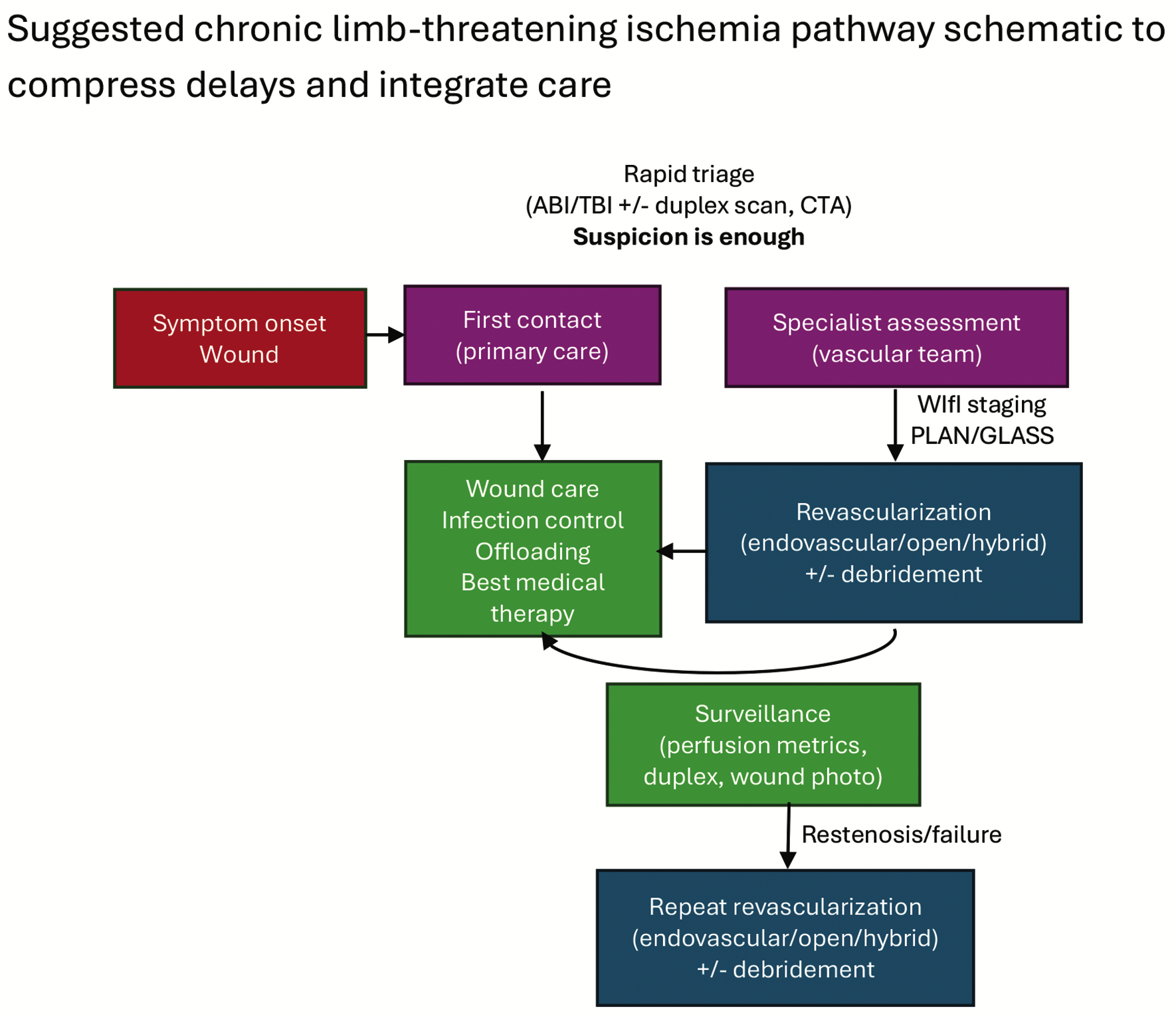 Suggested CLTI pathway schematic to compress delays and integrate care