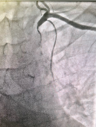 Casazza Figure 1 July 2024