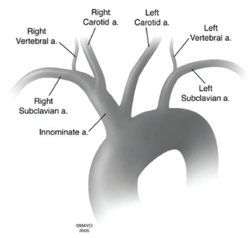 Casazza Figure 5b  July 2024