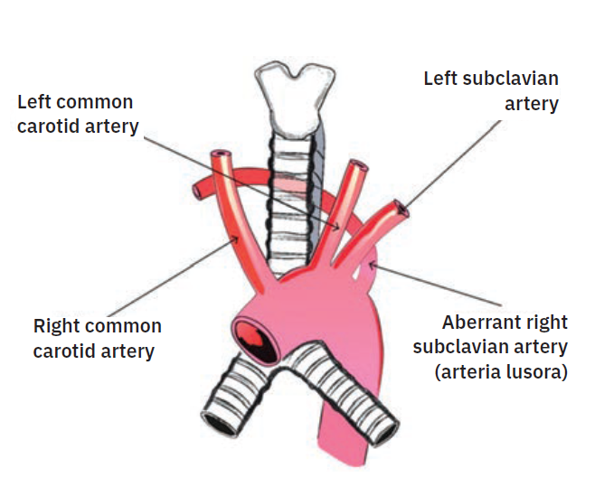 Casazza Figure 1 May 2024