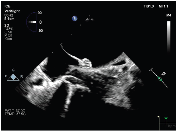 Chinitz-Fig1-Feb 2026.png 