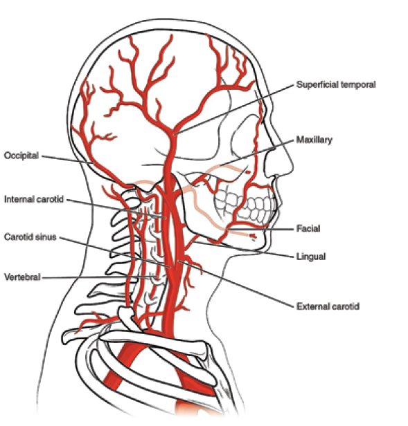 Cilingiroglu-Fig1-Dec 2025.png 