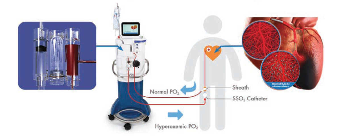 Clark Fig 1 May 2024