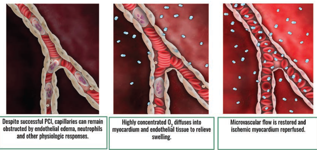 Clark Fig 2 May 2024