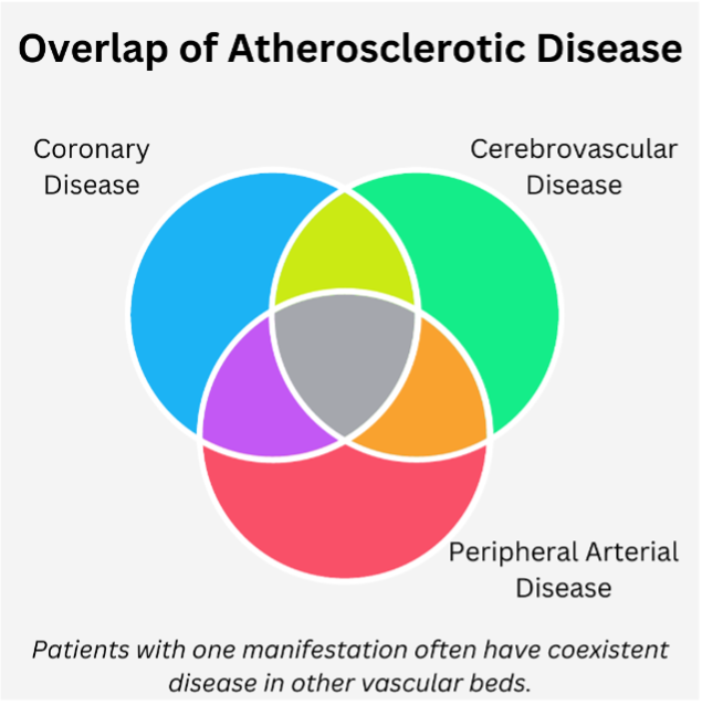 Church et al Figure 1 CLD Feb 2024