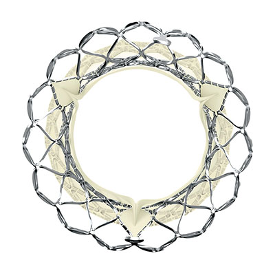 CoreValve Evolut (Medtronic)