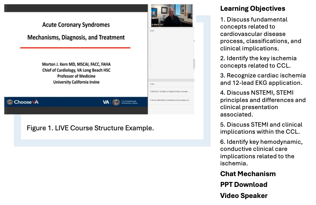 Figure 1. LIVE Course Structure Example.
