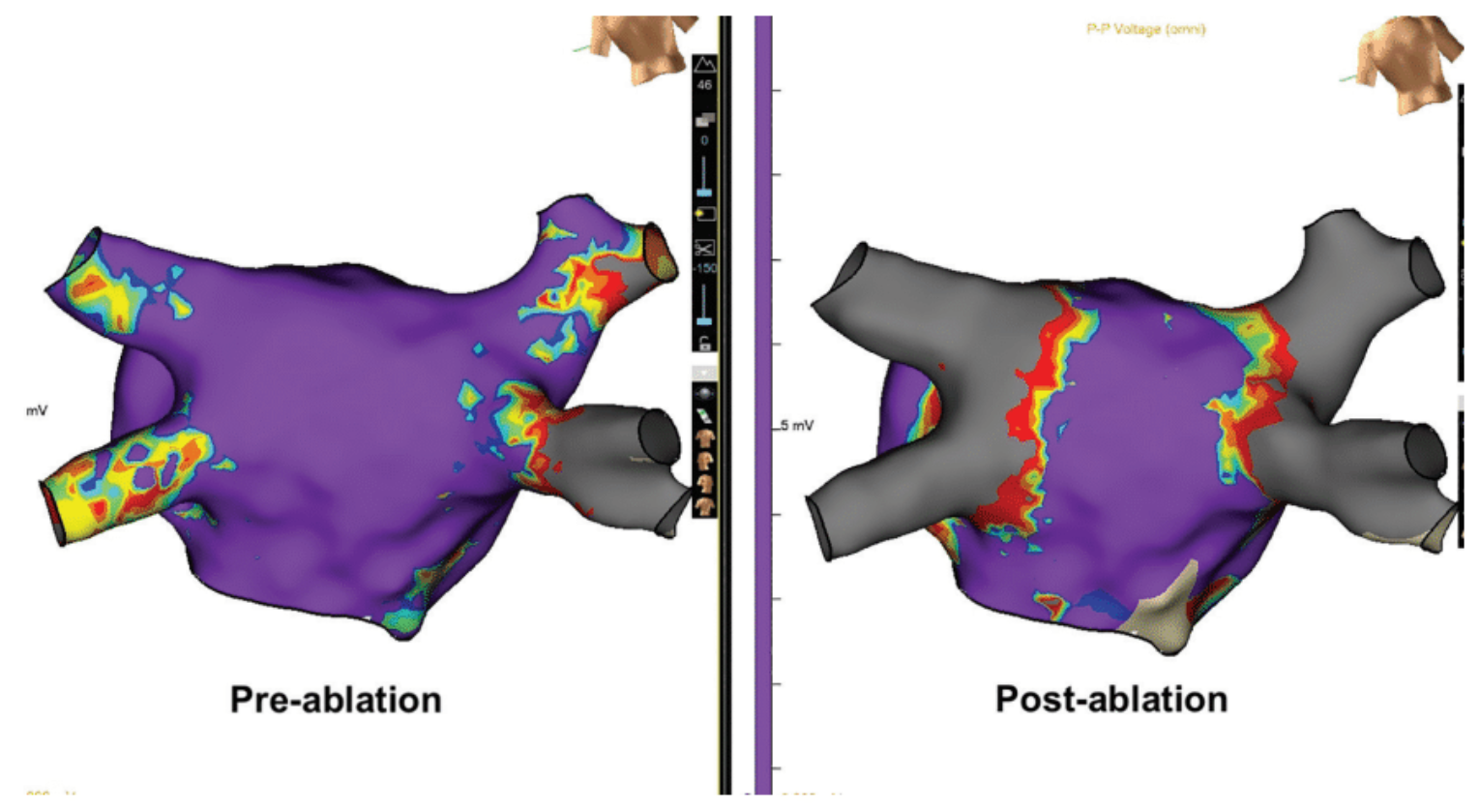 Demo - Fig 10 - Nov 2024 