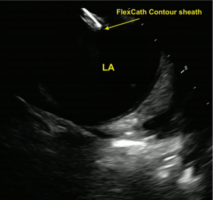 Demo - Fig 5 - Nov 2024 