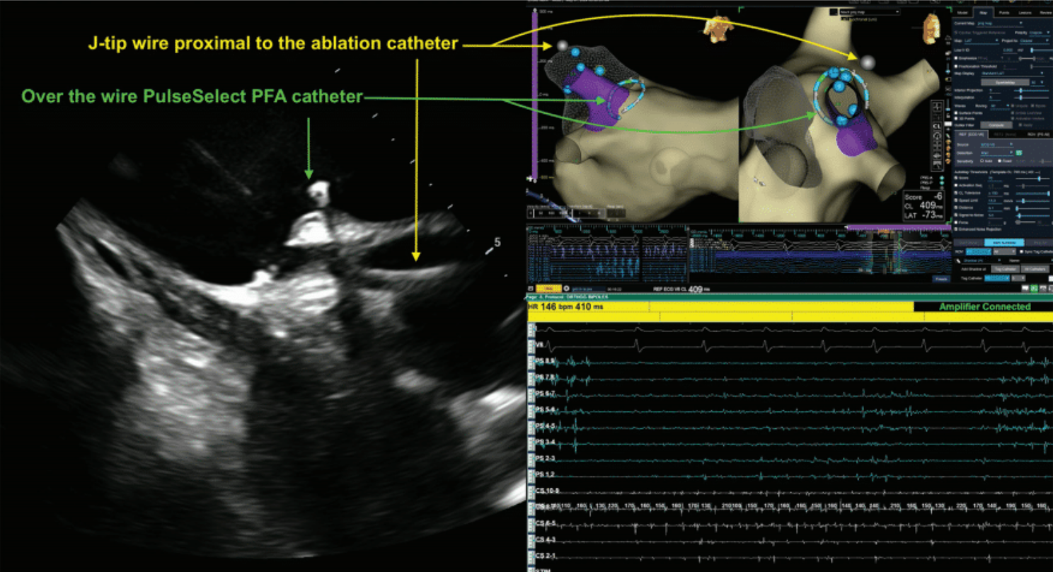 Demo - Fig 7 - Nov 2024 