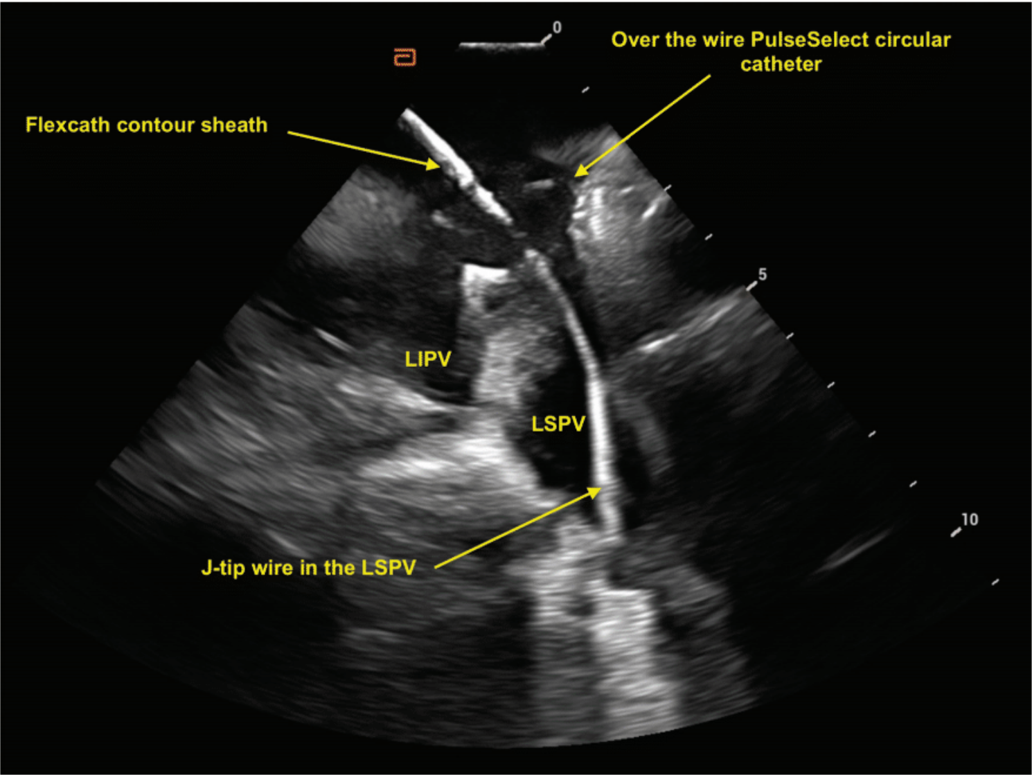 Demo - Fig 8 - Nov 2024 