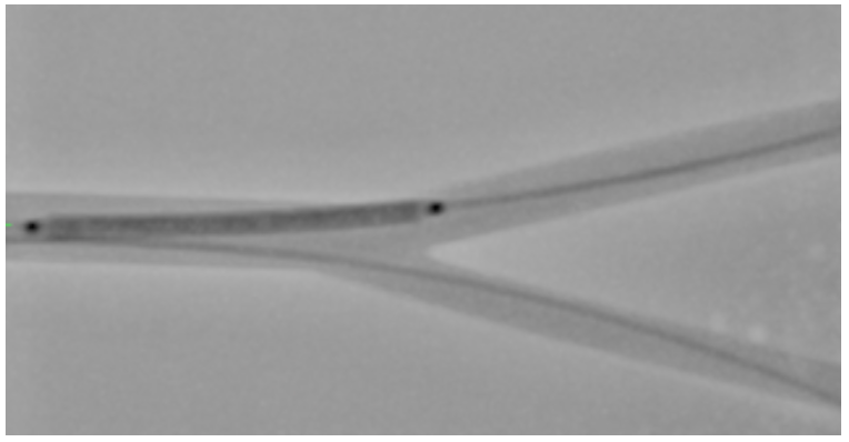 Ding Bifurcation Figure 3